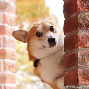 Meet your Posher, Suzanne